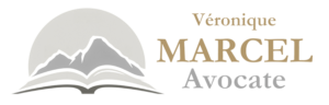 Logo VMAE